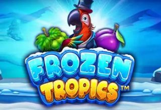 Frozen Tropics